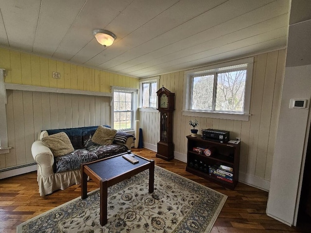 28 Varnum Pond Rd, Temple, ME 04984 - living area featuring hardwood / wood-style floors, plenty of natural light, wooden walls, and a baseboard radiator