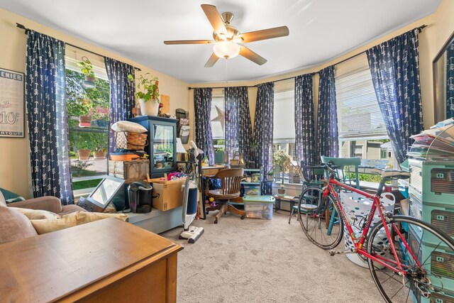 47 Fall Brook St, Portland, ME 04103 - photo 7