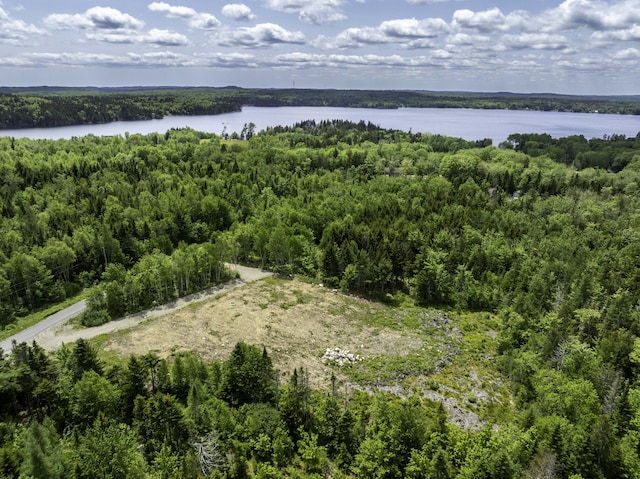 LOT23 Lucas Ln, Whiting, ME 04691