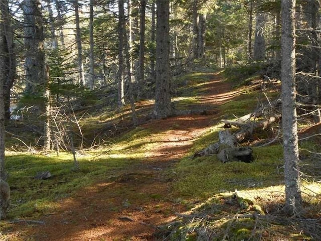 LOT23 Lucas Ln, Whiting, ME 04691