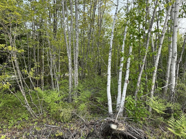 LOT23 Lucas Ln, Whiting, ME 04691