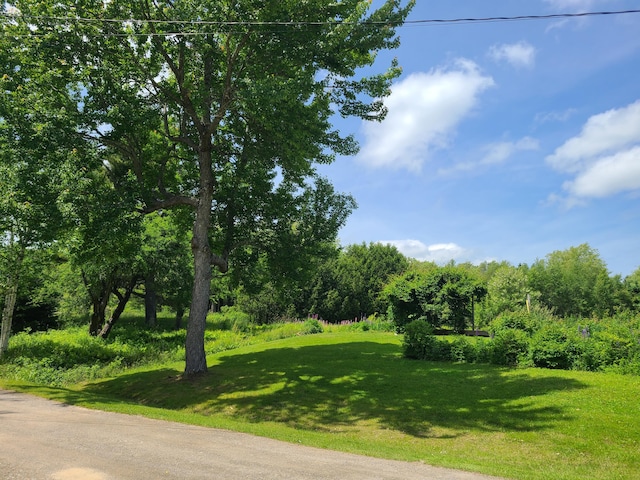 163 Ayer Ridge Rd, Freedom, ME 04941 - view of green lawn