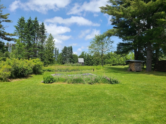 163 Ayer Ridge Rd, Freedom, ME 04941 - view of green lawn