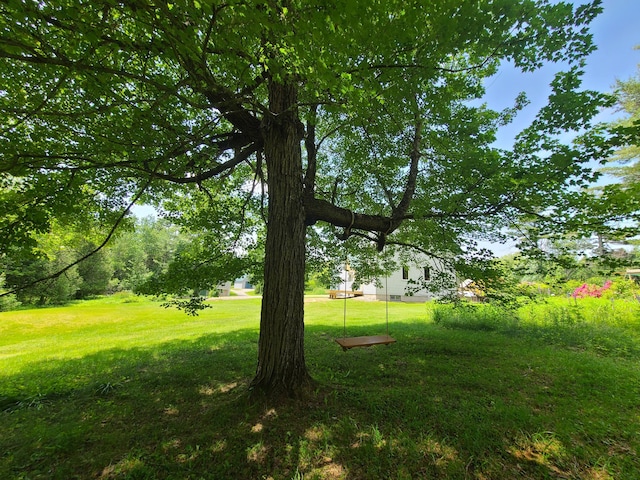 163 Ayer Ridge Rd, Freedom, ME 04941 - view of grassy yard