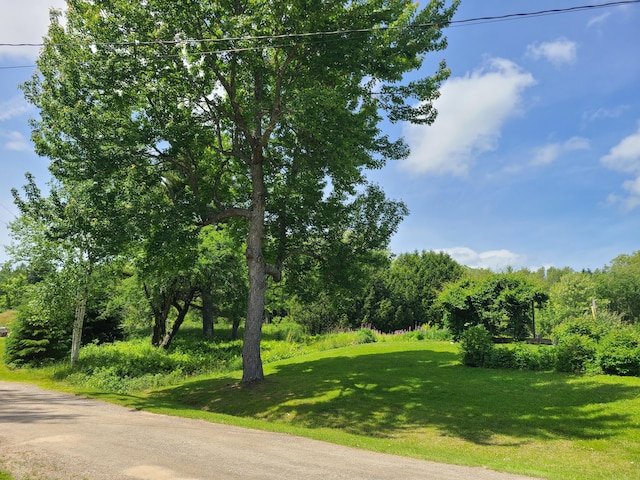 163 Ayer Ridge Rd, Freedom, ME 04941 - view of road