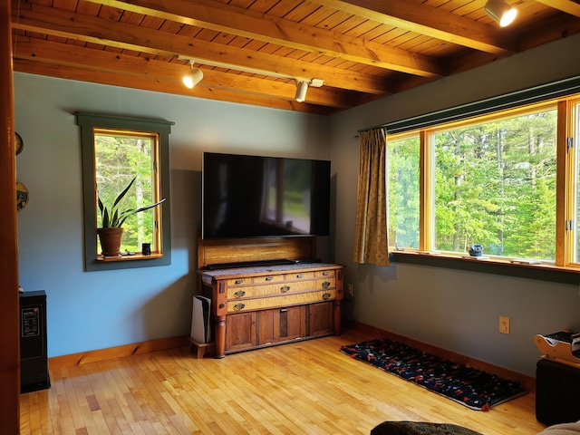 163 Ayer Ridge Rd, Freedom, ME 04941 - living room with a wood ceiling with exposed beams, light wood-type flooring, and rail lighting
