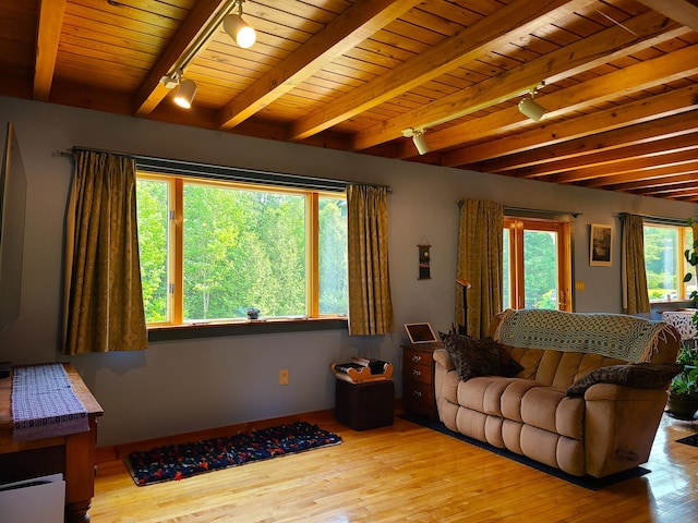 163 Ayer Ridge Rd, Freedom, ME 04941 - living area with track lighting, hardwood / wood-style flooring, and a wood ceiling with exposed beams
