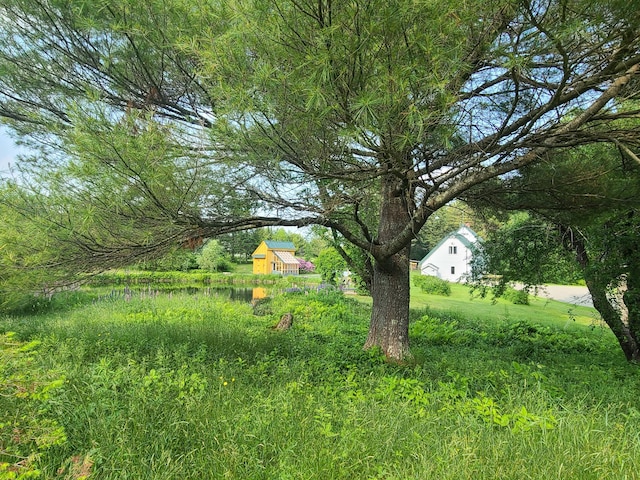163 Ayer Ridge Rd, Freedom, ME 04941 - view of yard