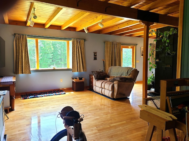 163 Ayer Ridge Rd, Freedom, ME 04941 - living room with a wooden ceiling with exposed beams, hardwood / wood-style floors, and rail lighting