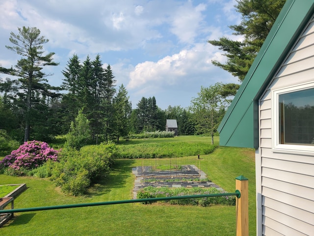 163 Ayer Ridge Rd, Freedom, ME 04941 - view of green lawn featuring a vegetable garden