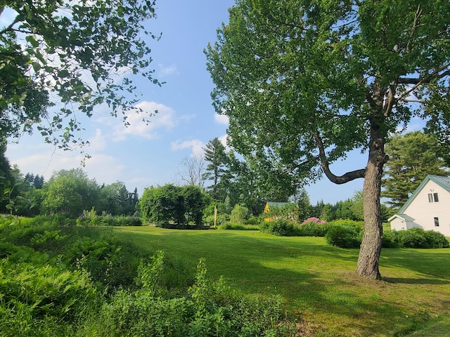 163 Ayer Ridge Rd, Freedom, ME 04941 - view of grassy yard