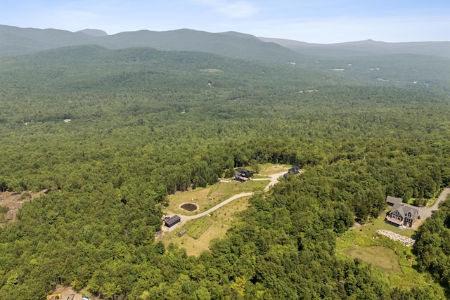 341 Outlook Rd, Woodstock, ME 04219 - photo 103