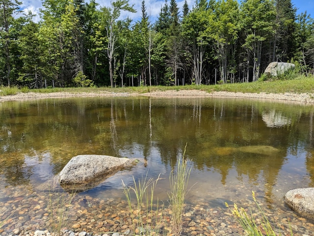341 Outlook Rd, Woodstock, ME 04219 - photo 89