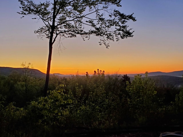 341 Outlook Rd, Woodstock, ME 04219 - photo 93