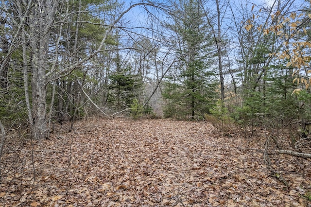 42A Wardtown Rd, Freeport, ME 04032 - photo 11