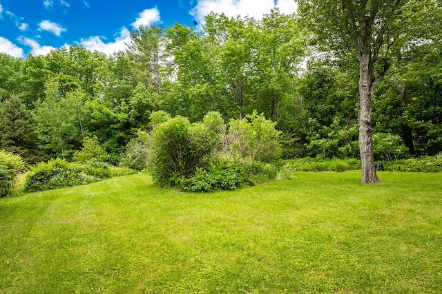 184 Mountain St, Camden, ME 04843 - view of green lawn