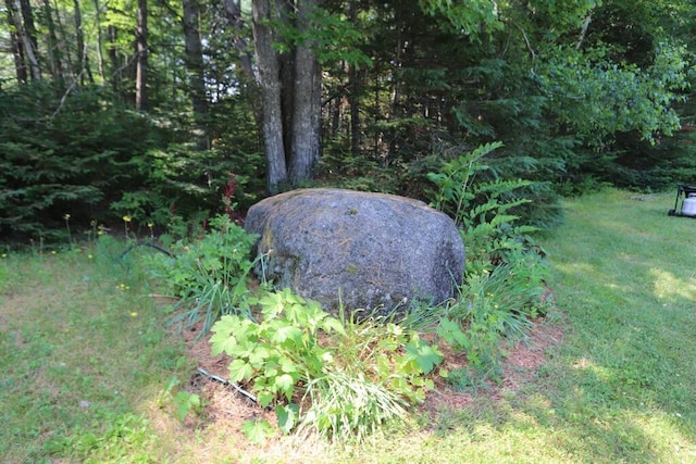 41 Roundstone Dr, Glenburn, ME 04401 - photo 13