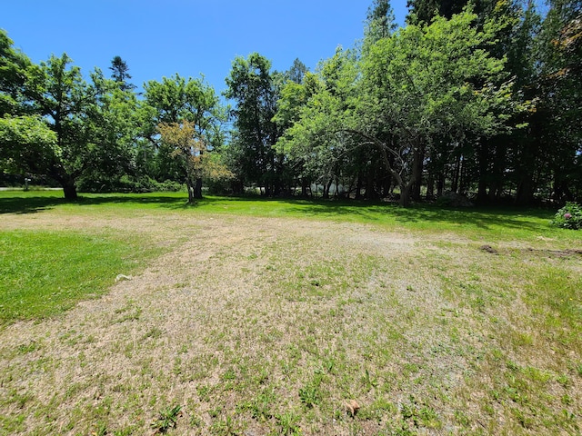 597 Falls Bridge Rd, Blue Hill, ME 04614 - photo 47