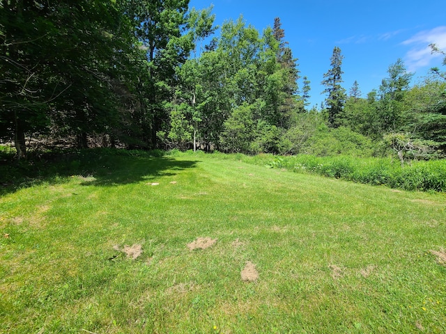 597 Falls Bridge Rd, Blue Hill, ME 04614 - photo 28