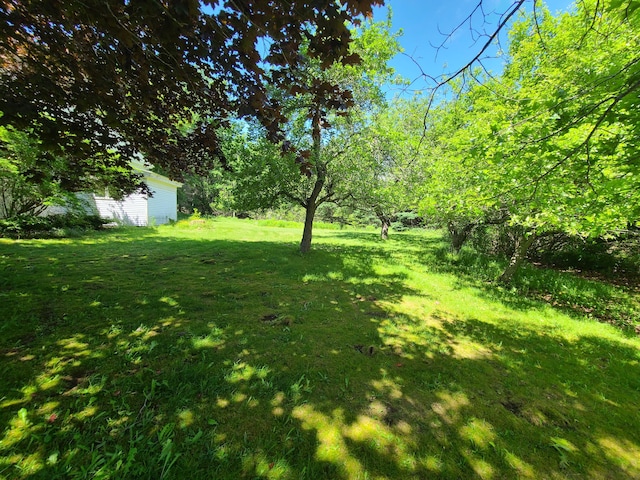 597 Falls Bridge Rd, Blue Hill, ME 04614 - photo 50