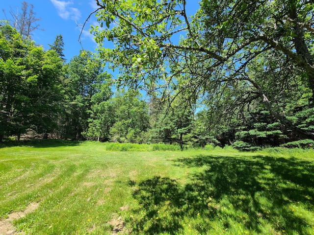 597 Falls Bridge Rd, Blue Hill, ME 04614 - photo 27