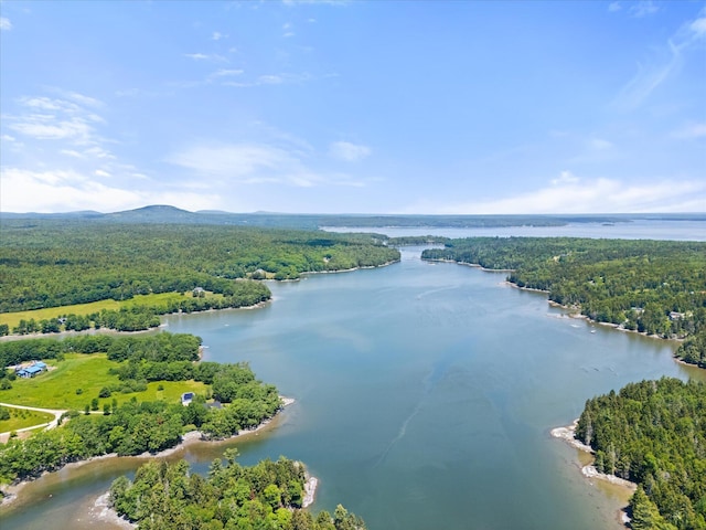 597 Falls Bridge Rd, Blue Hill, ME 04614 - photo 59