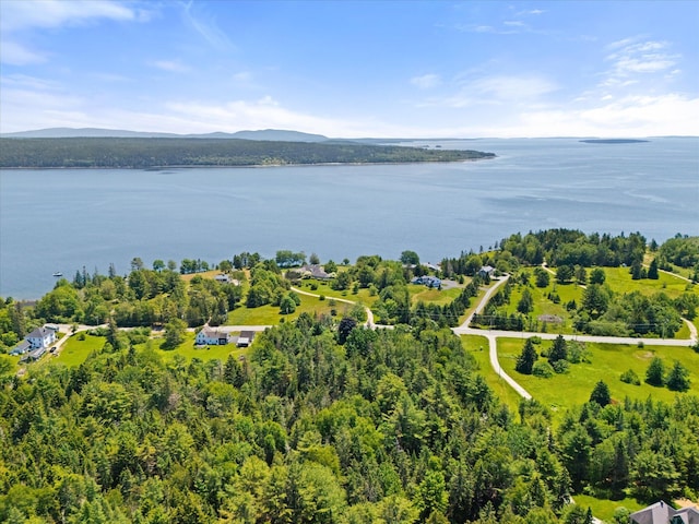 597 Falls Bridge Rd, Blue Hill, ME 04614 - photo 62
