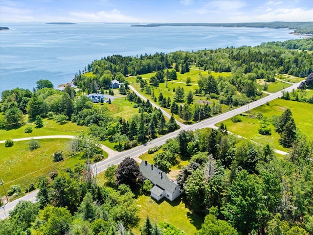 597 Falls Bridge Rd, Blue Hill, ME 04614 - photo 63