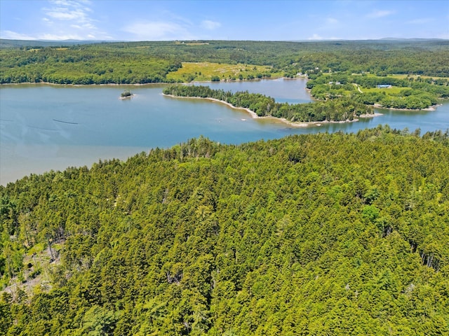 597 Falls Bridge Rd, Blue Hill, ME 04614 - photo 76