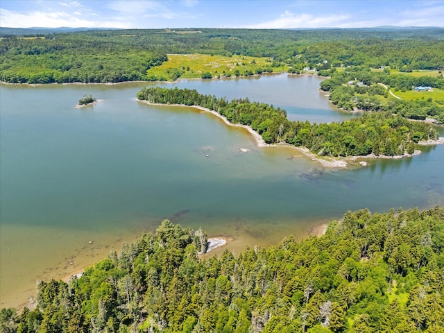 597 Falls Bridge Rd, Blue Hill, ME 04614 - photo 77