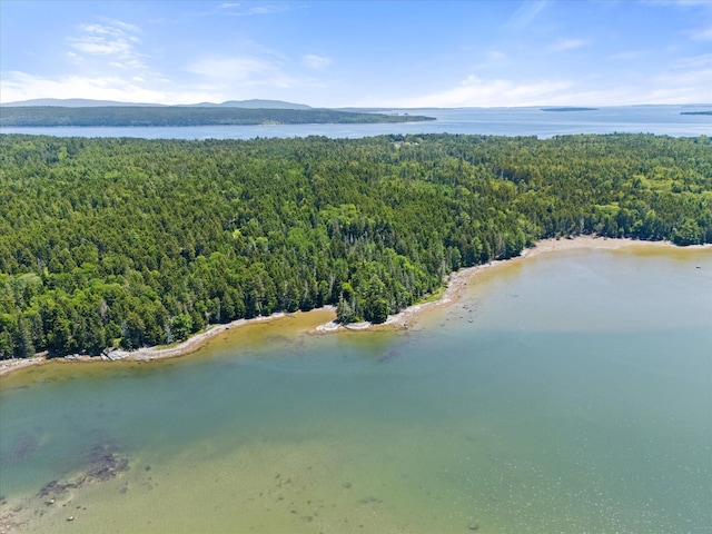 597 Falls Bridge Rd, Blue Hill, ME 04614 - photo 78