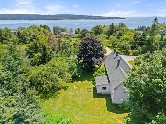 597 Falls Bridge Rd, Blue Hill, ME 04614 - photo 74