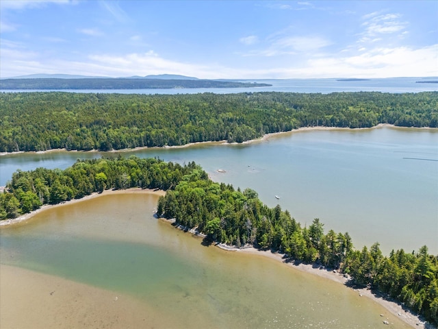 597 Falls Bridge Rd, Blue Hill, ME 04614 - photo 81