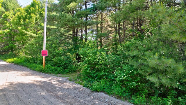 M19L8 Church Farm Rd, Beddington, ME 04622 - photo 5