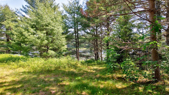 M19L8 Church Farm Rd, Beddington, ME 04622 - photo 17