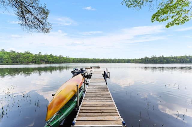50 Flagg Way, Fayette, ME 04349 - dock area with a water view and a forest view
