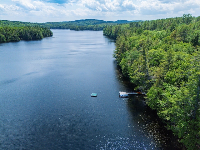 50 Flagg Way, Fayette, ME 04349 - water view with a forest