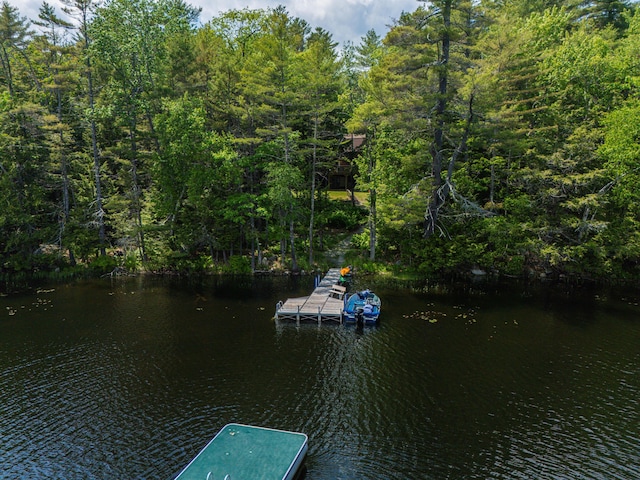 50 Flagg Way, Fayette, ME 04349 - dock area with a water view and a forest view