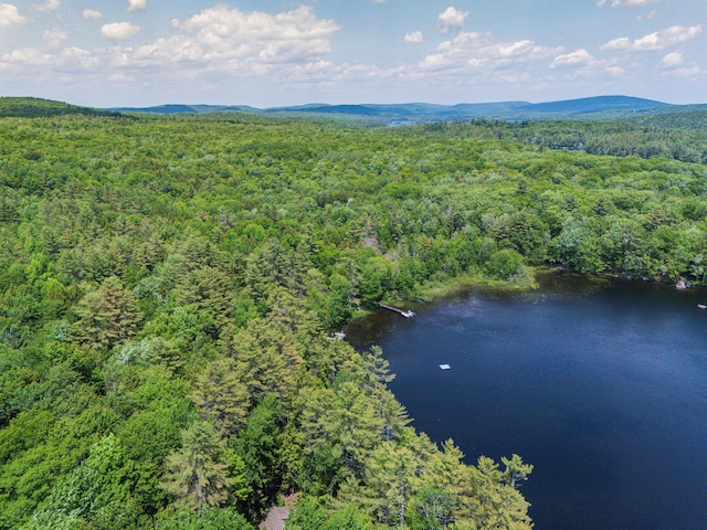 50 Flagg Way, Fayette, ME 04349 - aerial view of a heavily wooded area and a water and mountain view