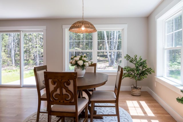 59 Sagamore Dr Lot 28, Phippsburg, ME 04562 - dining space with plenty of natural light and light wood-style floors
