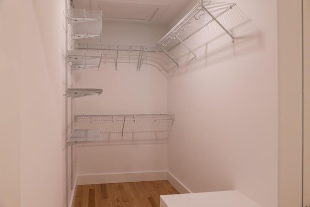 59 Sagamore Dr Lot 28, Phippsburg, ME 04562 - walk in closet featuring light wood finished floors