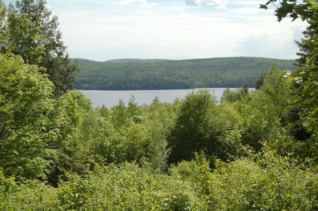 803 Main Rd, Burlington, ME 04417 - water view featuring a heavily wooded area