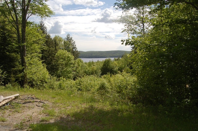 803 Main Rd, Burlington, ME 04417 - water view with a heavily wooded area