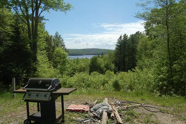 803 Main Rd, Burlington, ME 04417 - view of yard with a water view and a wooded view