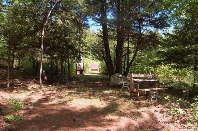 803 Main Rd, Burlington, ME 04417 - view of yard with a wooded view