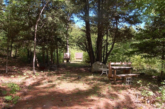 803 Main Rd, Burlington, ME 04417 - view of yard