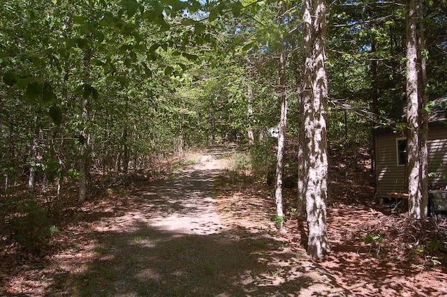 803 Main Rd, Burlington, ME 04417 - view of road featuring a view of trees