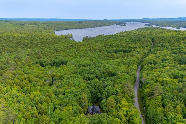 320 Commons Dr, Bridgton, ME 04009 - drone / aerial view of a heavily wooded area and a large body of water