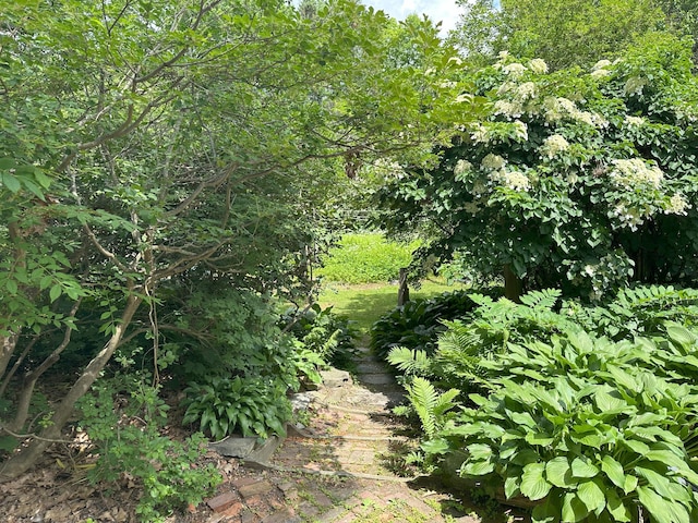 14 Pond St, Orono, ME 04473 - view of undeveloped land