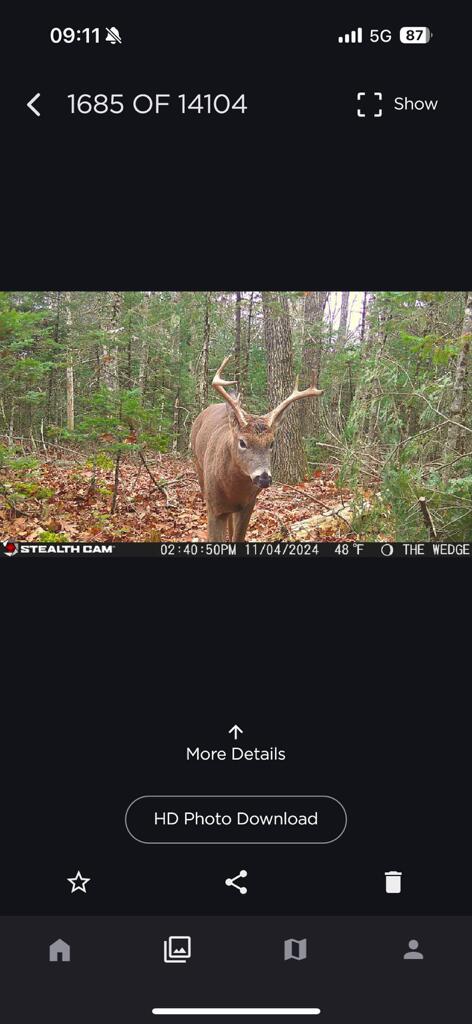 26 Brown Rd, Morrill, ME 04952 - photo 15